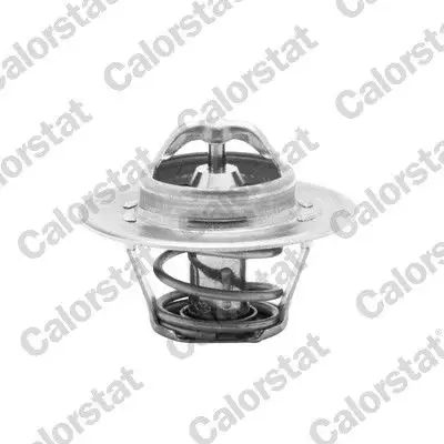 CALORSTAT VERNET TH5962.88J Termostat