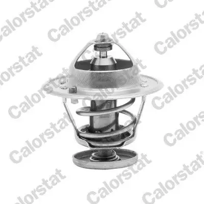 CALORSTAT VERNET TH6267.88J Termostat 19301RMX306