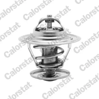 CALORSTAT VERNET TH6273.87J Termostat