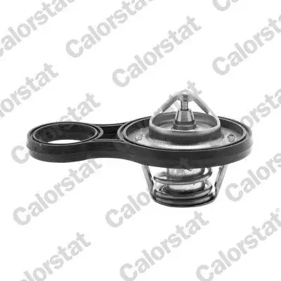CALORSTAT VERNET TH6843.91J Termostat