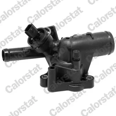 CALORSTAT VERNET TH7190.81J Termostat
