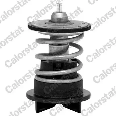 CALORSTAT VERNET TH7272.89 Termostat