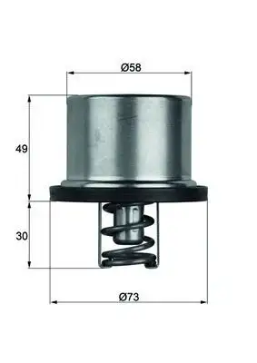 MAHLE THD175 Termostat