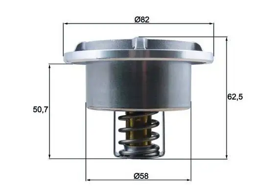 MAHLE THD686 Termostat