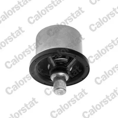 CALORSTAT VERNET THS16957.82 Termostat
