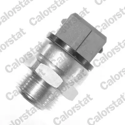 CALORSTAT VERNET TS1769 Fan Müşiri 96085909