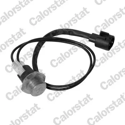 CALORSTAT VERNET TS1960 Fan Müşiri 7700796048