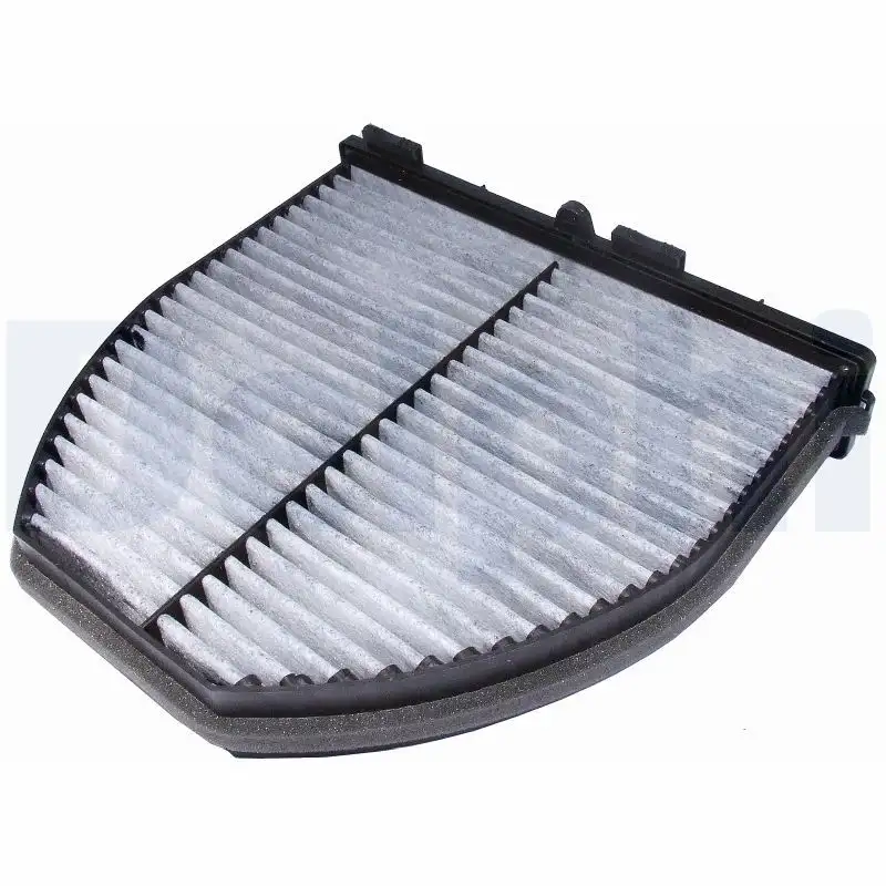 DELPHI TSP0325258C Polen Filtresi (Karbonlu)