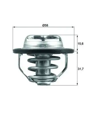MAHLE TX12282 Termostat