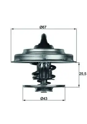 MAHLE TX1879 Termostat