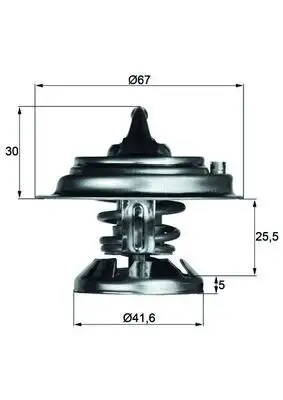 MAHLE TX2980D Termostat
