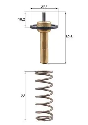 MAHLE TX31190D Termostat 31293556
