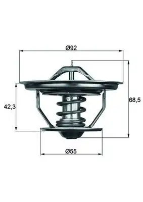 MAHLE TX3575 Termostat 605250100050