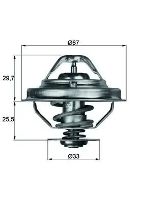 MAHLE TX3888D Termostat 11532246825