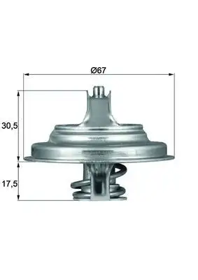 MAHLE TX5471D Termostat A0042031475