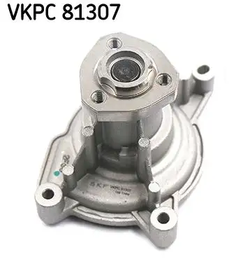 SKF VKPC81307 Devirdaim