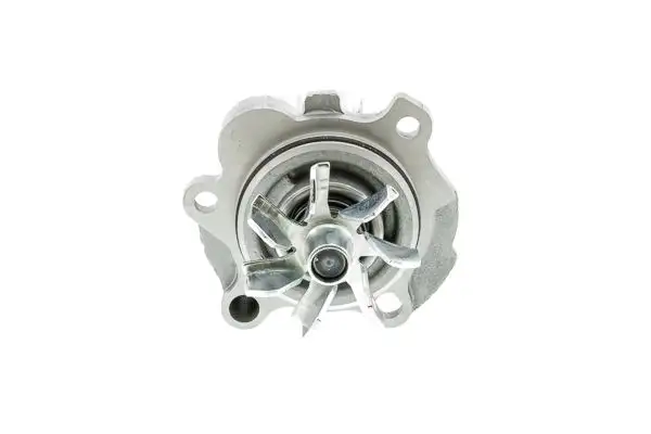 AISIN WE-VW01 Devirdaim