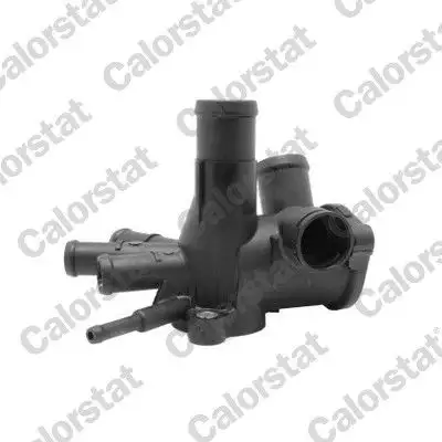 CALORSTAT VERNET WF0005 Su Flanşı 030121117N