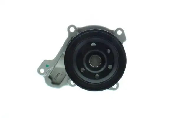 AISIN WPZ-700 Devirdaim S55015100A