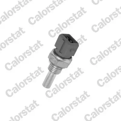 CALORSTAT VERNET WS2587 Hararet Müşiri