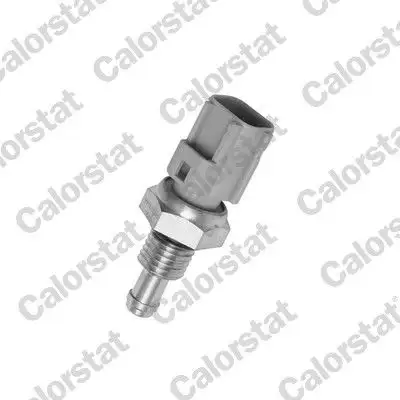 CALORSTAT VERNET WS2596 Hararet Müşiri